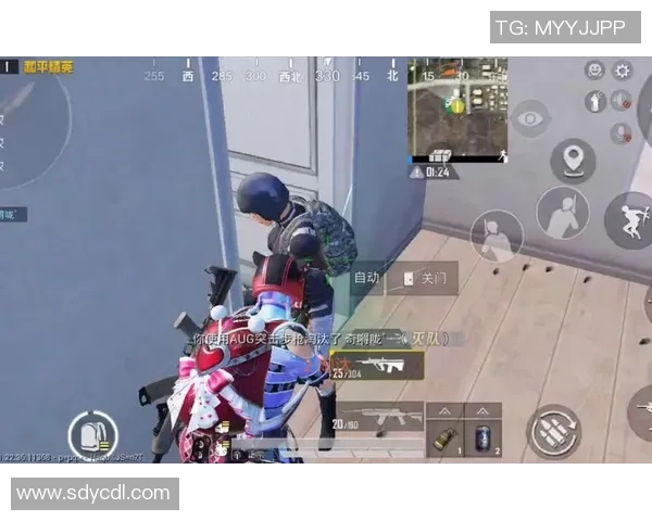 电竞女将陈丽专访回顾和平精英成长之路与赛事精彩瞬间